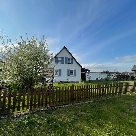 Pension Landhaus An Der Saale 베른부르크 외부 사진
